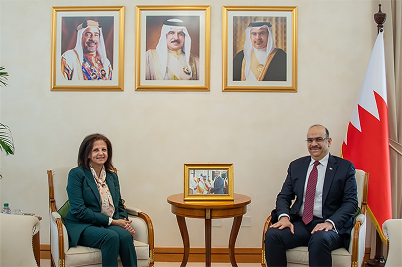 Legal Affairs Minister meets Lebanese Embassy Chargé d'Affaires